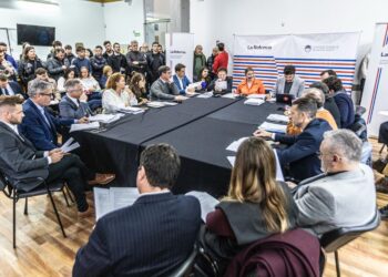 Convención Reformadora: la Comisión de Declaraciones, Derechos y Garantías recibe pedidos de audiencia.