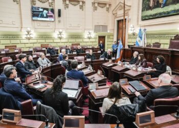 Reuniones con representantes de ex combatientes de Malvinas, cooperativas, colegios profesionales y derechos humanos.