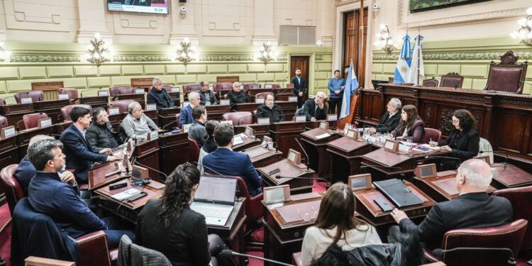 Reuniones con representantes de ex combatientes de Malvinas, cooperativas, colegios profesionales y derechos humanos.