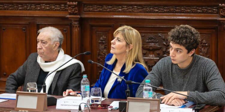 La Comisión de Declaraciones, Derechos y Garantías inició con las audiencias solicitadas.