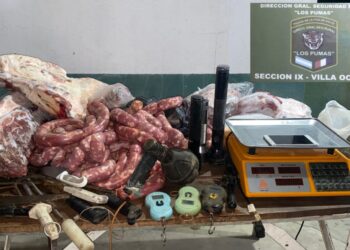 DGSR “Los Pumas”  de Sección N°9 Villa Ocampo, esclarecieron un hecho de ABIGEATO.