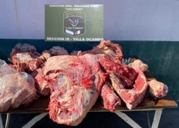 DGSR “Los Pumas” Villa Ocampo, labró acta por Infracción al Art. 189 bis y ART.206 del C.P.A.