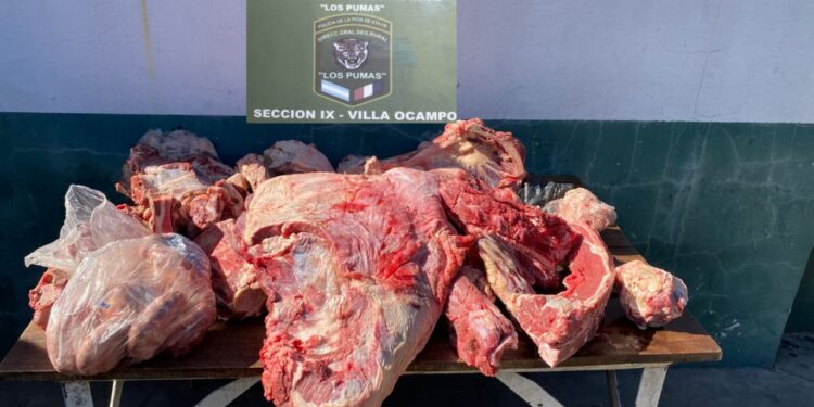 DGSR “Los Pumas” Villa Ocampo, labró acta por Infracción al Art. 189 bis y ART.206 del C.P.A.