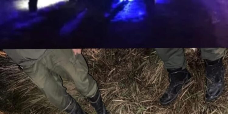 Personal de la Guardia Rural “Los Pumas”, de Villa Ocampo intervinieron en Accidente de tránsito e iniciaron actuaciones por omisión de custodia animal.