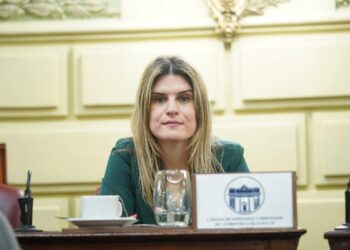 Mancini solicitó que las licencias profesionales se puedan gestionar en Reconquista.