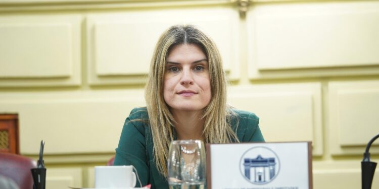 Mancini solicitó que las licencias profesionales se puedan gestionar en Reconquista.