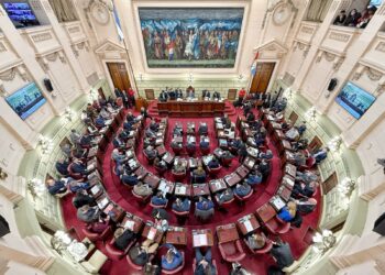 Comienza la cuarta semana de trabajo de la Convención Reformadora de la Constitución de Santa Fe.