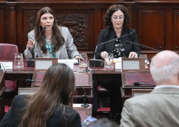 Más de 70 oradores participaron de la audiencia de la Comisión de Funcionamiento del Estado y Participación Ciudadana.