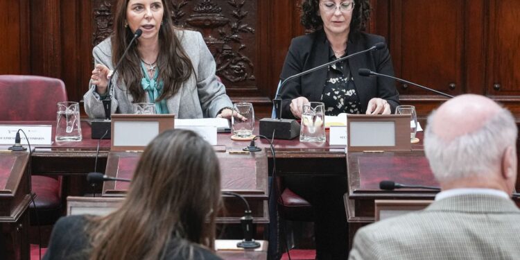 Más de 70 oradores participaron de la audiencia de la Comisión de Funcionamiento del Estado y Participación Ciudadana.