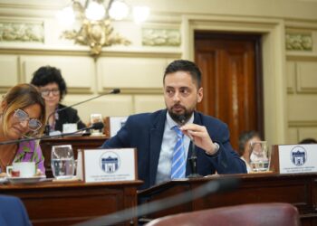 Picante cruce entre Peralta y el bloque de La Libertad Avanza.