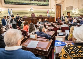 Última audiencia pública de la Comisión de Declaraciones, Derechos y Garantías.