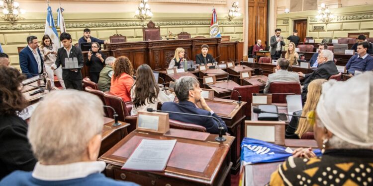 Última audiencia pública de la Comisión de Declaraciones, Derechos y Garantías.