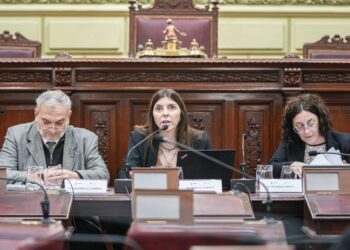 Funcionamiento del Estado, seguridad y participación ciudadana en el eje del debate.