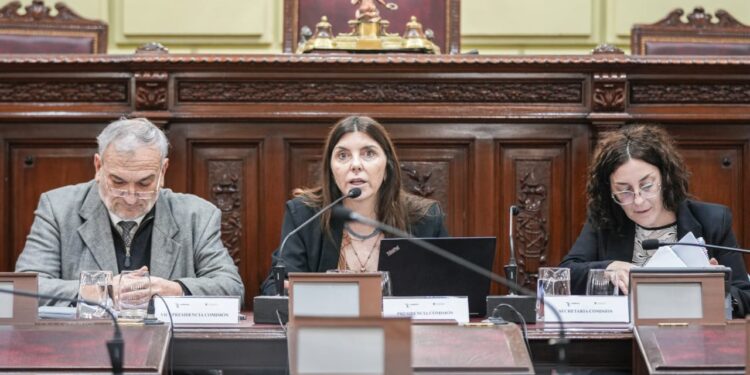 Funcionamiento del Estado, seguridad y participación ciudadana en el eje del debate.