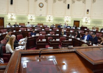 La Comisión de Declaraciones, Derechos y Garantías avanzó en el tratamiento de artículos clave de la Constitución.