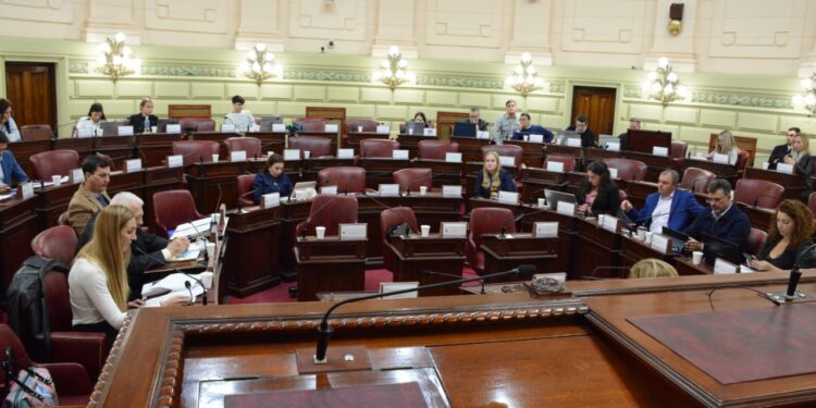 La Comisión de Declaraciones, Derechos y Garantías avanzó en el tratamiento de artículos clave de la Constitución.