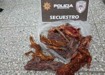 VILLA OCAMPO: SECUESTRAN COCAÍNA Y APREHENDEN A UN VECINO.