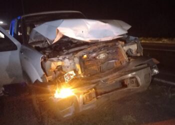 TACUARENDÍ: COLISIÓN ENTRE CAMIONETA Y ANIMAL VACUNO SOBRE RUTA NACIONAL N.º 11.