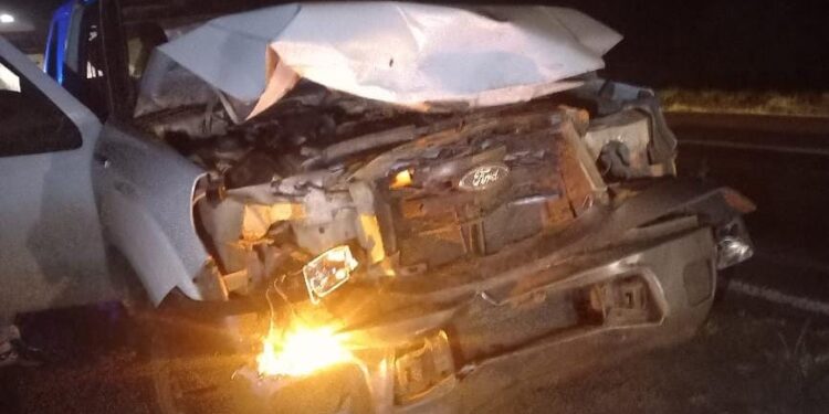 TACUARENDÍ: COLISIÓN ENTRE CAMIONETA Y ANIMAL VACUNO SOBRE RUTA NACIONAL N.º 11.