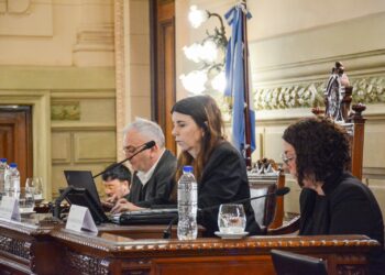 La Comisión de Funcionamiento del Estado y Participación Ciudadana emitió 11 dictámenes.