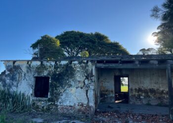 “Avellaneda: detuvieron a un mayor y un menor por intento de robo en zona rural”.