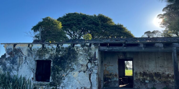 “Avellaneda: detuvieron a un mayor y un menor por intento de robo en zona rural”.