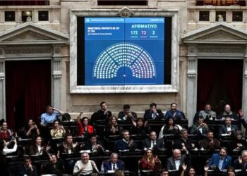 La oposición rechaza el veto de Milei a la ley de emergencia en discapacidad y da un duro golpe al Gobierno.