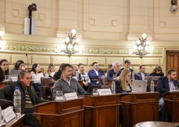 La Comisión de Declaraciones, Derechos y Garantías emitió 12 dictámenes.