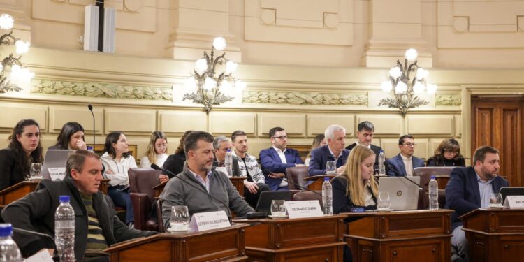 La Comisión de Declaraciones, Derechos y Garantías emitió 12 dictámenes.
