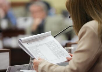 La Convención Reformadora ingresó en la etapa de redacción del nuevo texto constitucional.