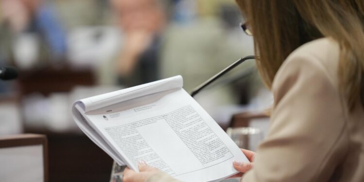 La Convención Reformadora ingresó en la etapa de redacción del nuevo texto constitucional.