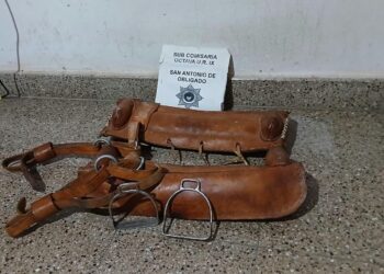 SAN ANTONIO DE OBLIGADO: RECUPERAN UNA MONTURA ROBADA.