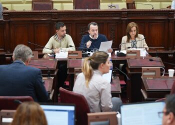 La Comisión Redactora emitió dictámenes sobre Funcionamiento del Estado.
