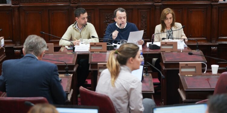 La Comisión Redactora emitió dictámenes sobre Funcionamiento del Estado.