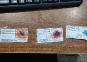 VILLA OCAMPO: DETIENEN A UN HOMBRE POR TENENCIA DE DROGAS EN BICICLETA.