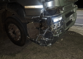 TACUARENDÍ: CAMIÓN EMBISTIÓ A UN ANIMAL VACUNO EN RUTA NACIONAL 11.