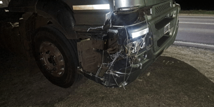 TACUARENDÍ: CAMIÓN EMBISTIÓ A UN ANIMAL VACUNO EN RUTA NACIONAL 11.