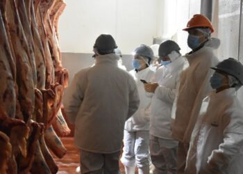 Circuitos Productivos en el Santa Fe Business Forum: el mundo observa cómo se produce en la provincia.