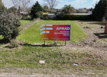 Desde autos y joyas, a materiales de construcción: qué se rematará en la subasta récord de bienes decomisados que se viene.