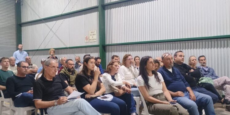 Santa Fe impulsa la producción de nuez pecán con el lanzamiento de la primera Mesa Provincial para el sector.