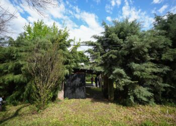 Provincia exhibió lotes y propiedades de Funes y Roldán que serán parte de la gran subasta de bienes incautados al delito.