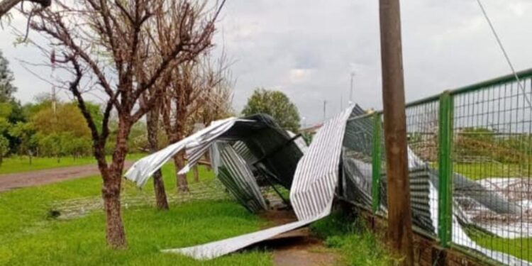 Accidente vial en Ruta 11: un automóvil de Villa Ocampo fue impactado por un camión.