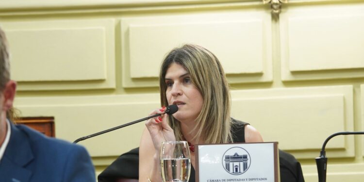 Mancini: “Es fundamental fortalecer la justicia para garantizar derechos en todo el territorio”.