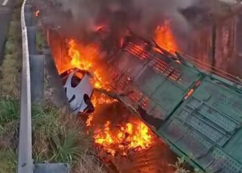 Tragedia en Corrientes: Camión con autos 0 km cayó de un puente y se incendió, murió el chofer.