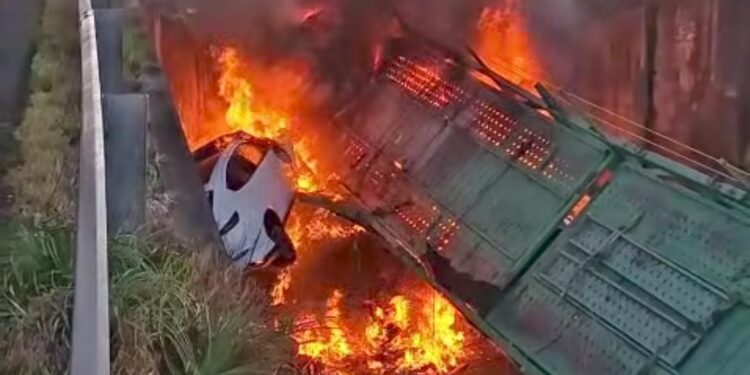 Tragedia en Corrientes: Camión con autos 0 km cayó de un puente y se incendió, murió el chofer.