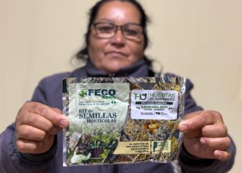 Villa Ocampo: Comenzó la entrega de kits de semillas de la campaña primavera-verano 2025.