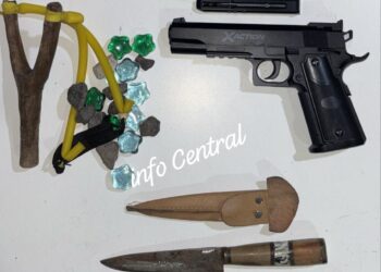 LAS TOSCAS: AUTOMÓVIL EMBISTIÓ A UN CABALLO EN RUTA 11 – SIN LESIONADOS, EXCEPTO EL EQUINO SIN VIDA.