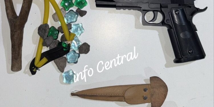 LAS TOSCAS: AUTOMÓVIL EMBISTIÓ A UN CABALLO EN RUTA 11 – SIN LESIONADOS, EXCEPTO EL EQUINO SIN VIDA.