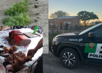 MALABRIGO: CUATRO DETENIDOS EN OPERATIVO CONJUNTO POR ABIGEATO Y TENENCIA DE ESTUPEFACIENTES.