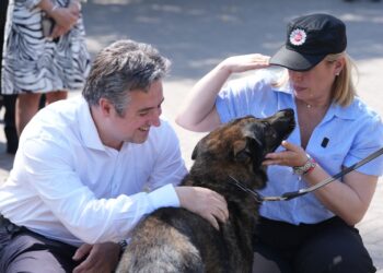 Canes policiales: Scaglia participó del retiro de un perro y la incorporación al servicio de otros dos.